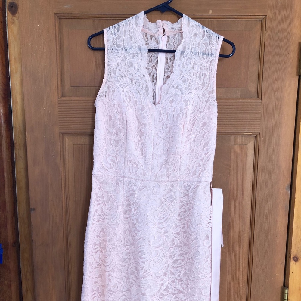 Dessy Collection Blush Lace Dress